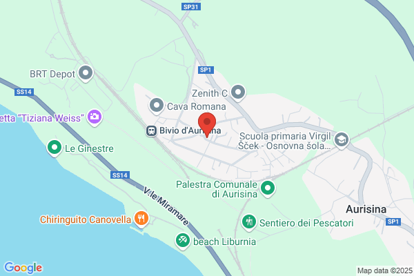 Duinoaurisina.Com