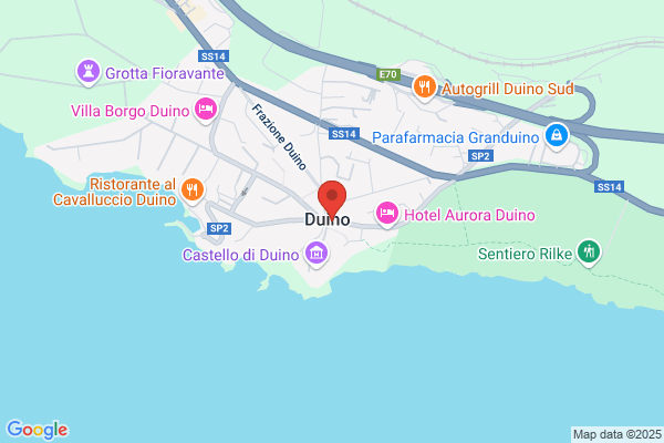 Sturli aladino