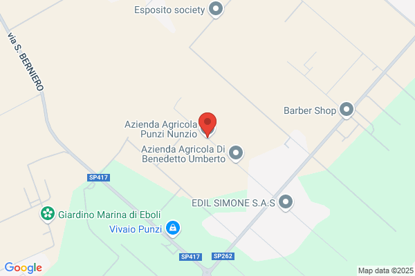 Azienda Agricola Punzi Nunzio