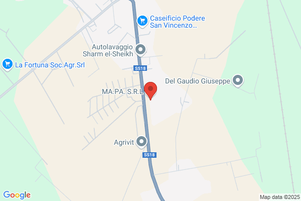 Pubbligrafica Miele