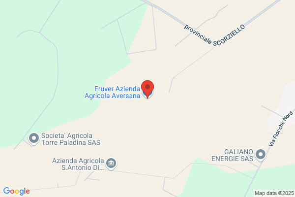 Fruver Azienda Agricola Aversana