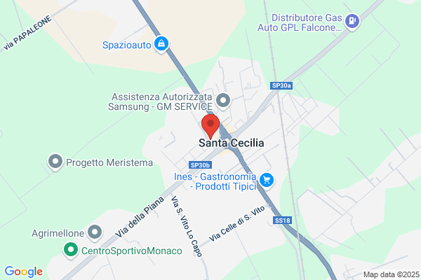 Vi.Ri.Plast. Semplificata