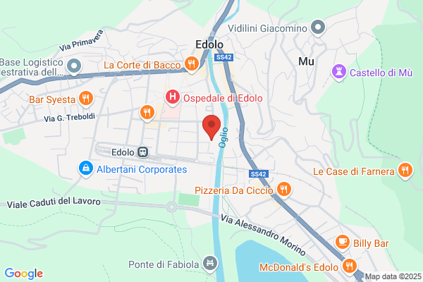 Radici Combustibili di Radici Alessandro