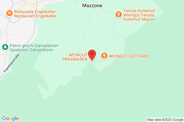 Praxmarer meinrad (Dr.)