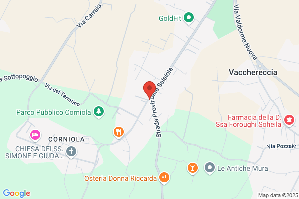 Loisi vincenzo
