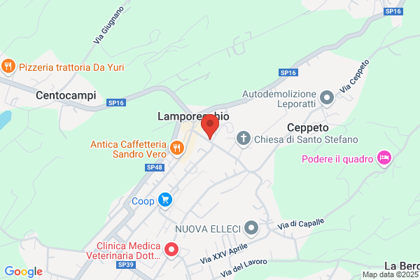 La Bottega Dei Sogni Di Martorana Gianfranco la Bottega Dei Sogni