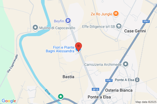 Fiori e Piante Bagni Alessandra