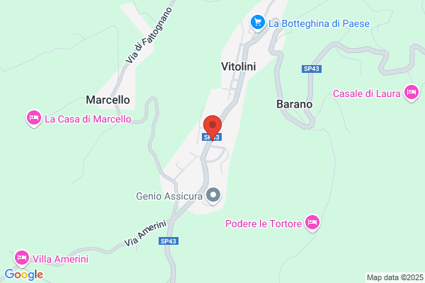 Falorni Gianfranco S.R.L.