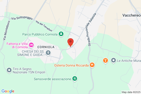 Nonsolopizza Di Vitelli E Paciotti Snc