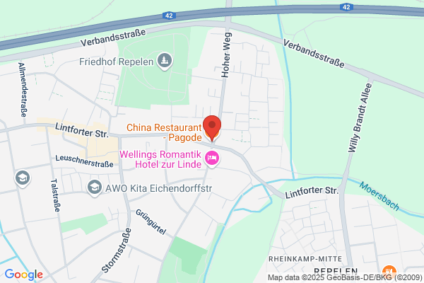 Ristorante Cinese Pagoda