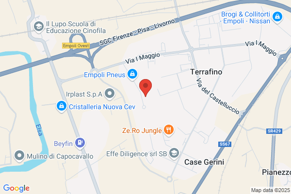 Neografica Snc Di Barnini E Mazzantini