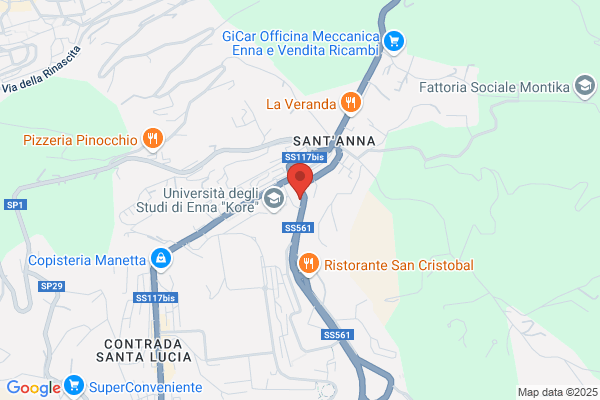 Rinnovamento Nello Spirito Santo