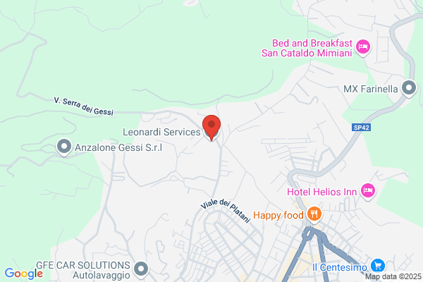 Leonardi Services