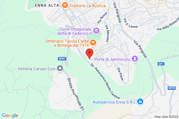 Partito Democratico Della Sinistra Sezione Di Enna