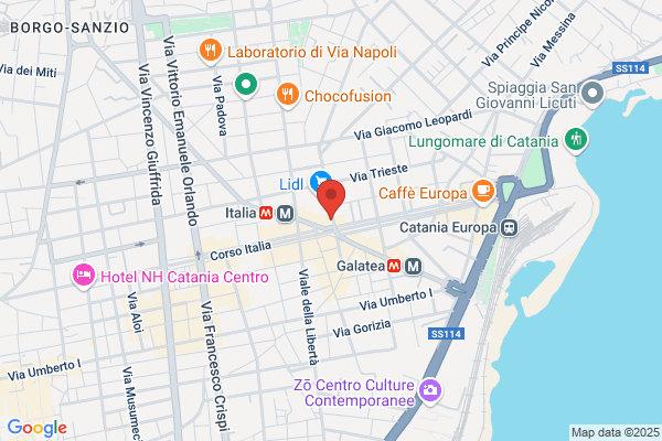 Istituto Vigilanza Metronotte
