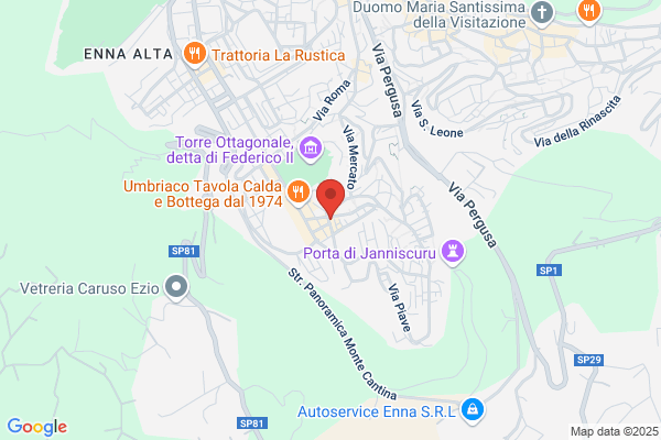 Paradiso a 4 zampe Shop