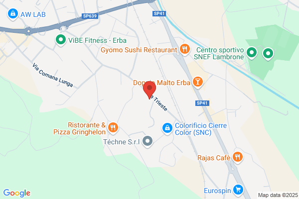 Insarauto Carlo