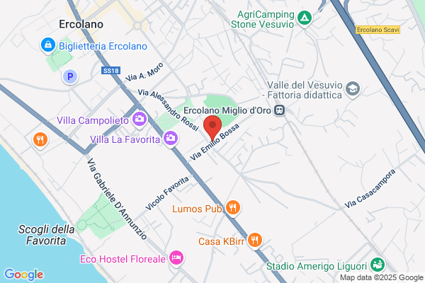 Festa Antonio (Dr.)