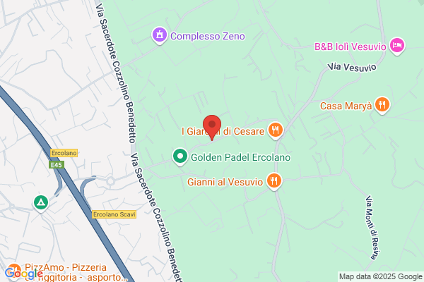 Societa Fonte Vesuvio (S.P.A.)