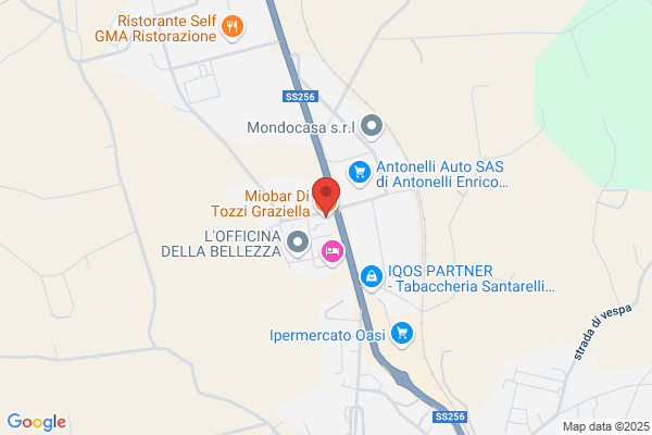 Mio Bar Di Tozzi Graziella