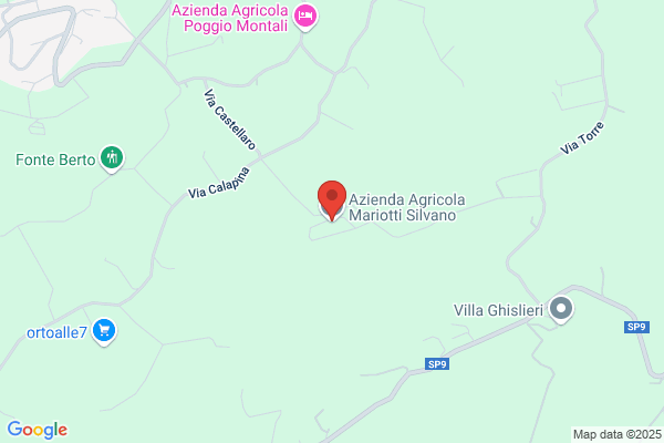 Mariotti alberto
