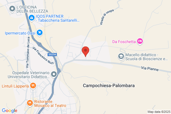 Riccioni flavio