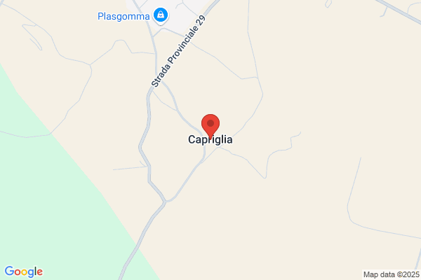 Spitoni francesco