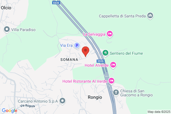 Impresa di Pulizia Il Glicine