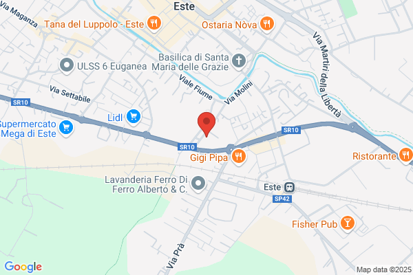 Istituto Professionale Di Stato Per Lindustria E Lartigianato E. /// (Fermi)