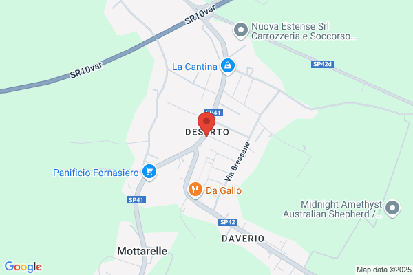 Ptp Bar Pizzeria Sartori Emanuele -21 (Or. Inv.8-20; Est.7)
