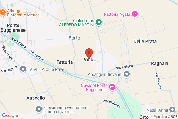 Volta tiziano
