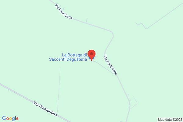 Saccenti andrea