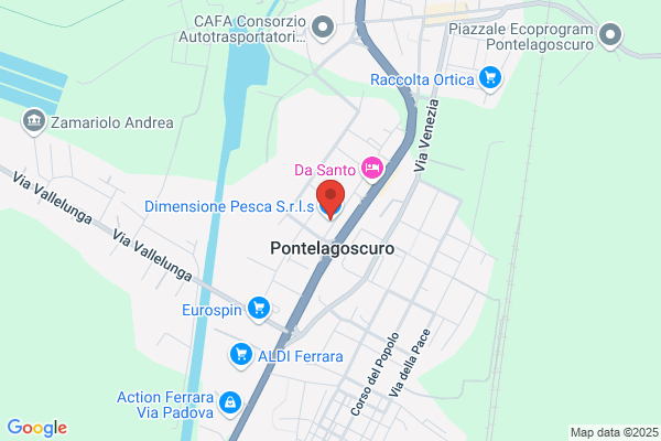 Free Pesca Srl