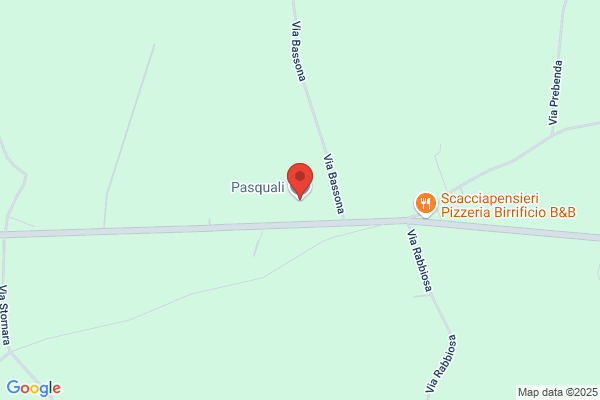 Pasquali silvano (Dr.)