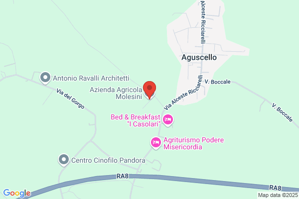 Molesini massimo