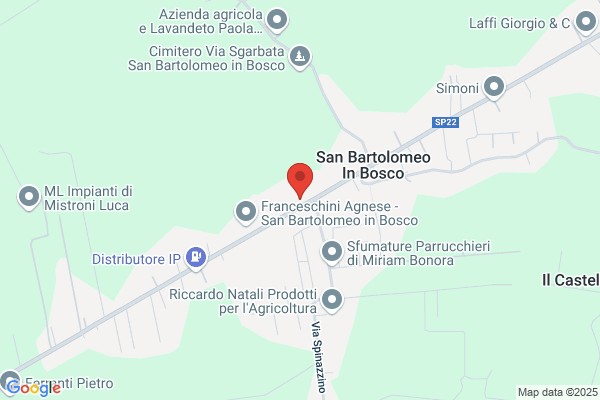 Borsetti Geom. Francesca -Fb Studio Stp Srl