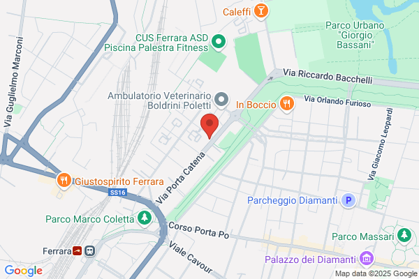 Passini francesco