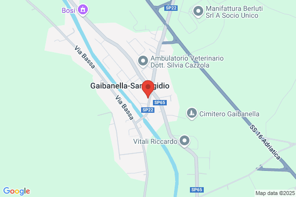 Faccini Catia