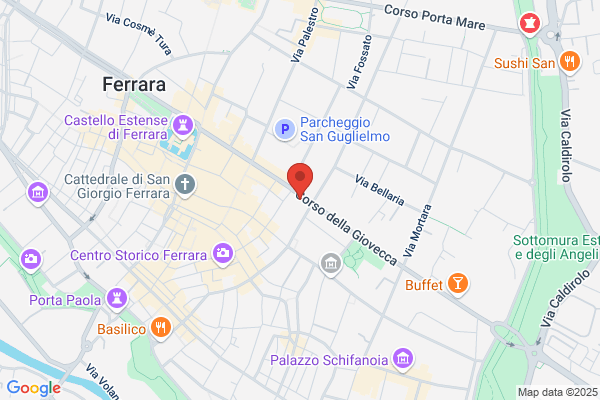 Piante E Fiori Euforia Di Girgenti Concetta