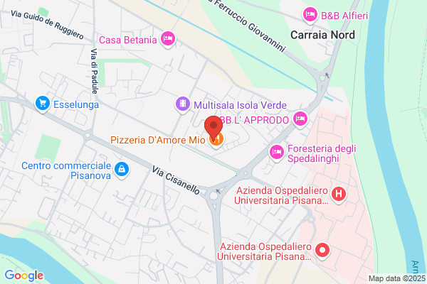 Pisa carlo