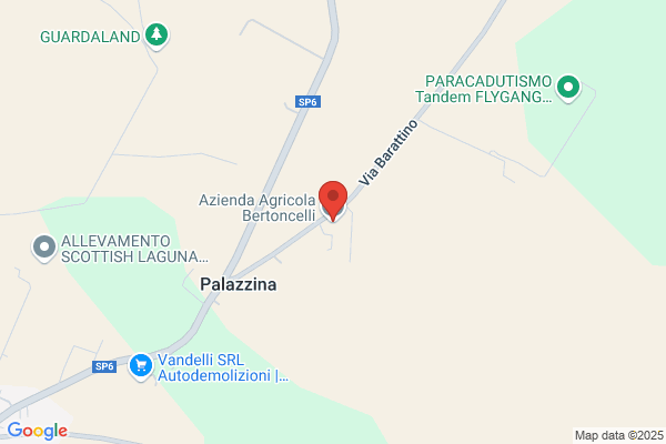 Impresa Bertoncelli S.R.L.
