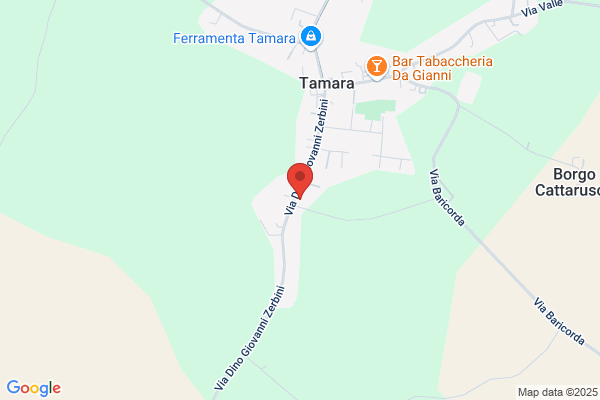 Zabarri ottorino