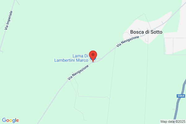 Lambertini Tonino