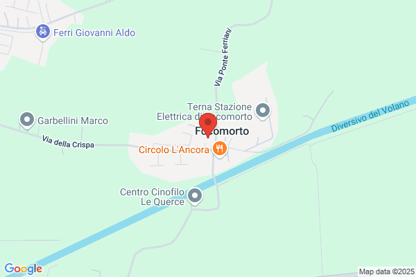 Gab Spedizioni E Trasporti Internazionali (S.R.L.)