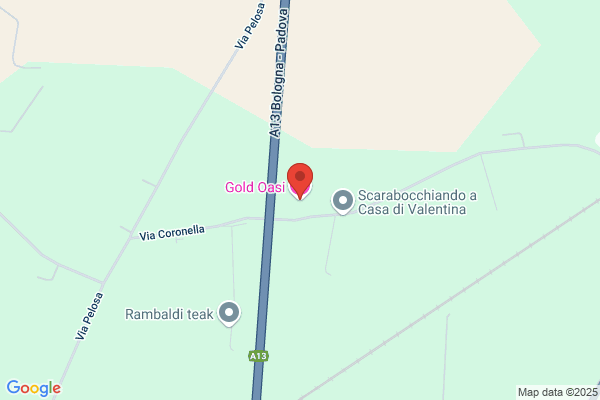 Oasi