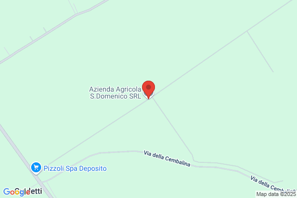 San Domenico S.R.L.