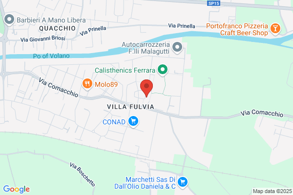 Olivieri carmela