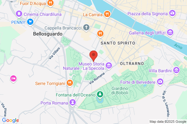 Mani del Sud