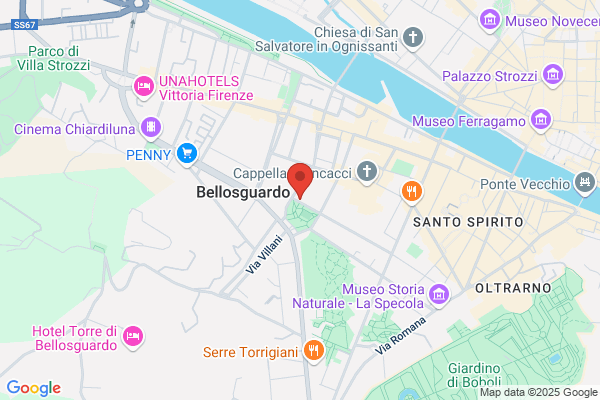 San Frediano Immibiliare Snc Di Vegni Vania & c.