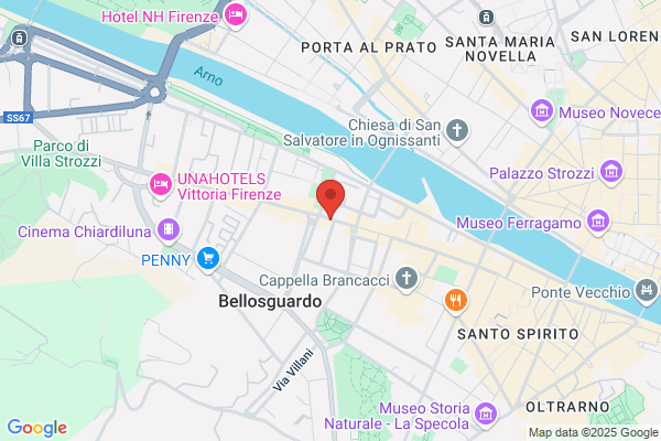 San Frediano Immobiliare Snc Di Vegni Vania & c.